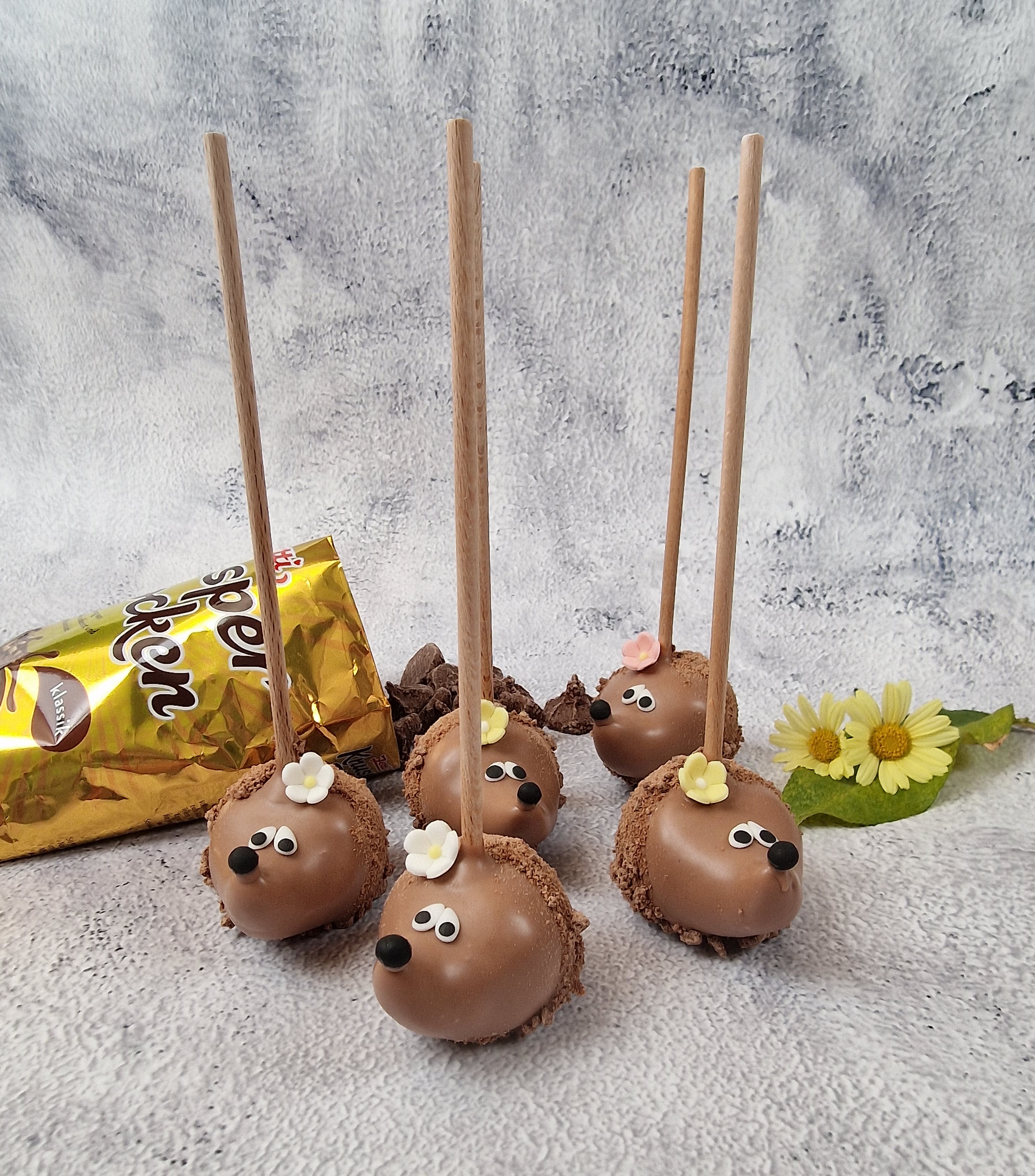 IGEL CAKE POPS